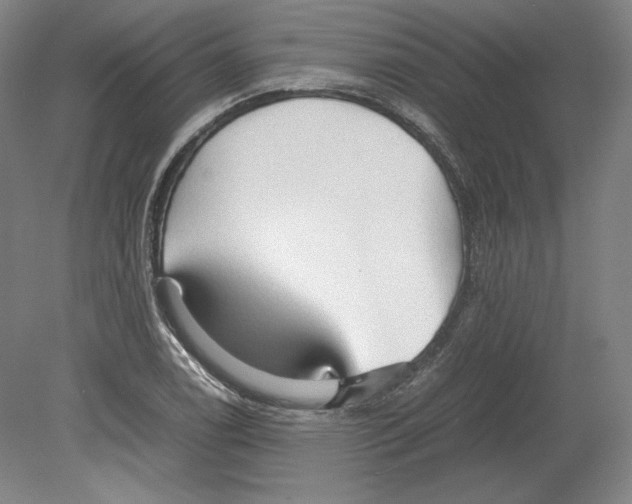 X0000080161122200701051558