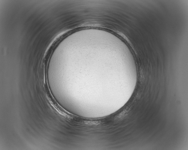 X0000080161123200701051558