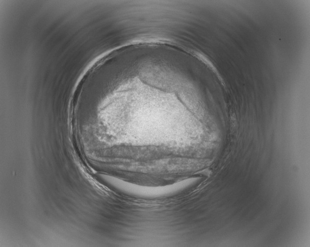 X0000080161124200701051558