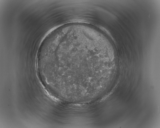 X0000080161125200701051558