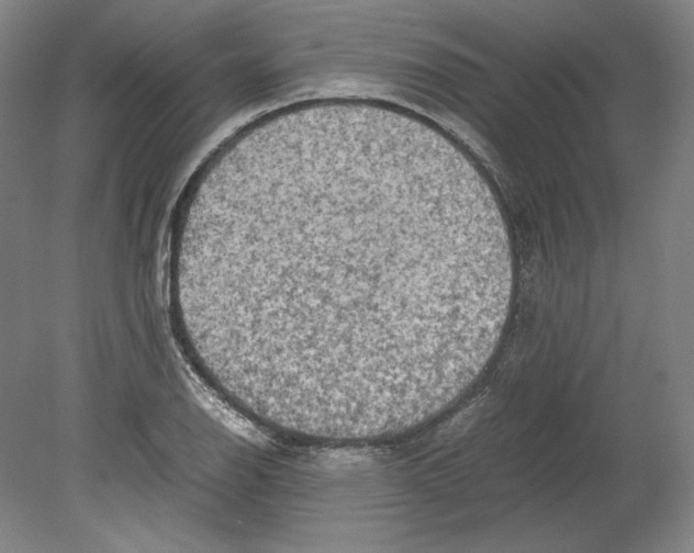 X0000080161126200701051558