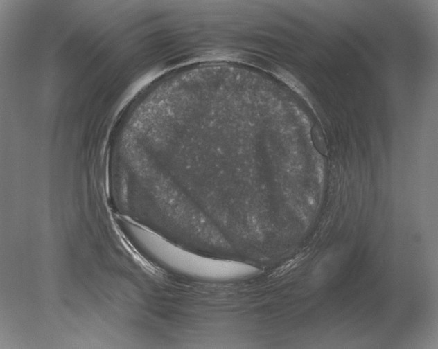 X0000080161127200701051558