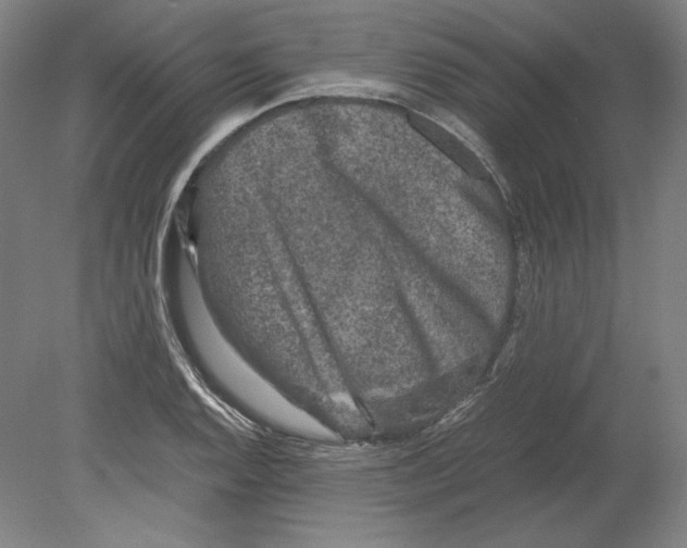 X0000080161128200701051558