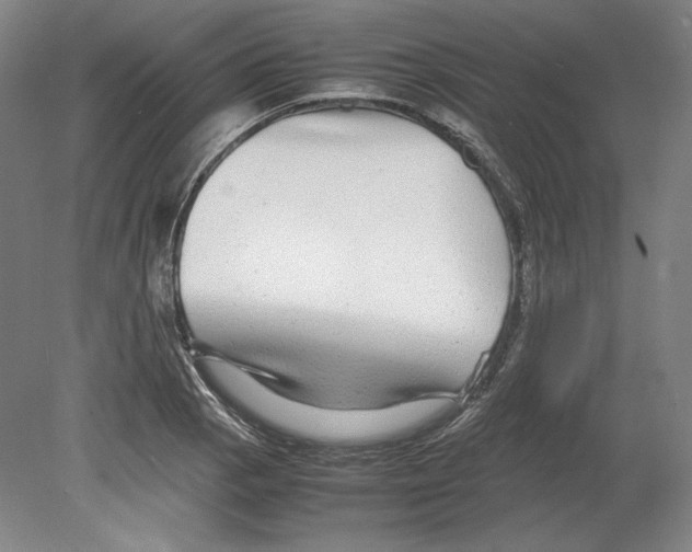 X0000080161129200701051558