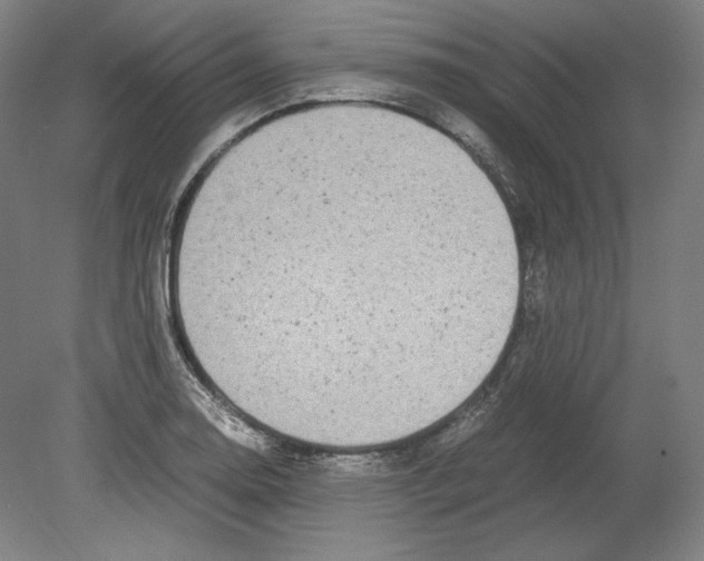 X0000080161130200701051558