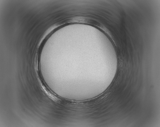 X0000080161131200701051558