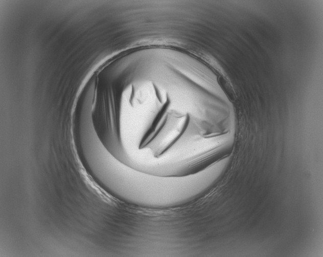 X0000080161132200701051558