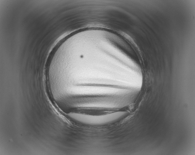 X0000080161133200701051558