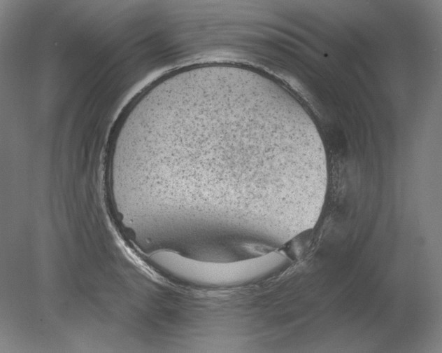 X0000080161134200701051558