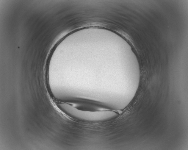 X0000080161135200701051558