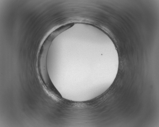 X0000080161136200701051558