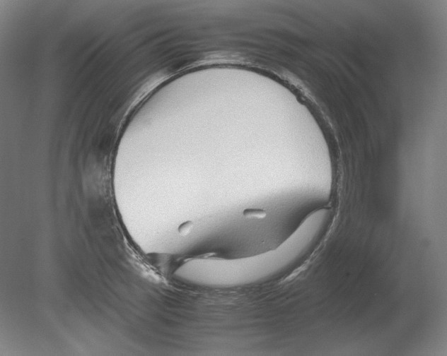 X0000080161137200701051558