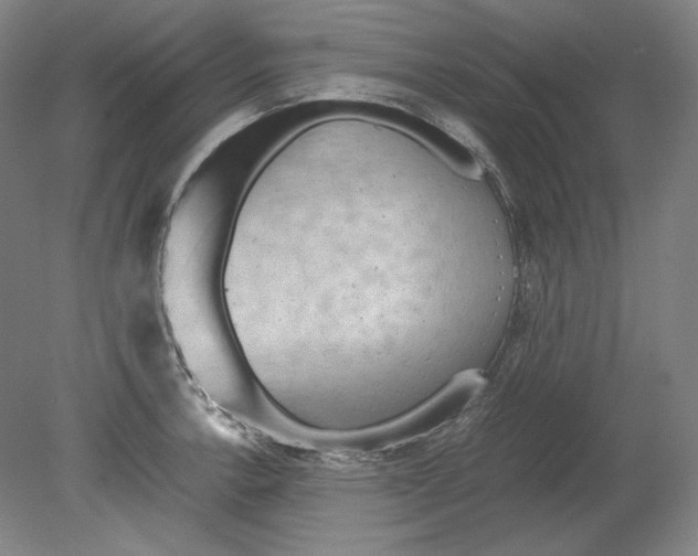 X0000080161138200701051558