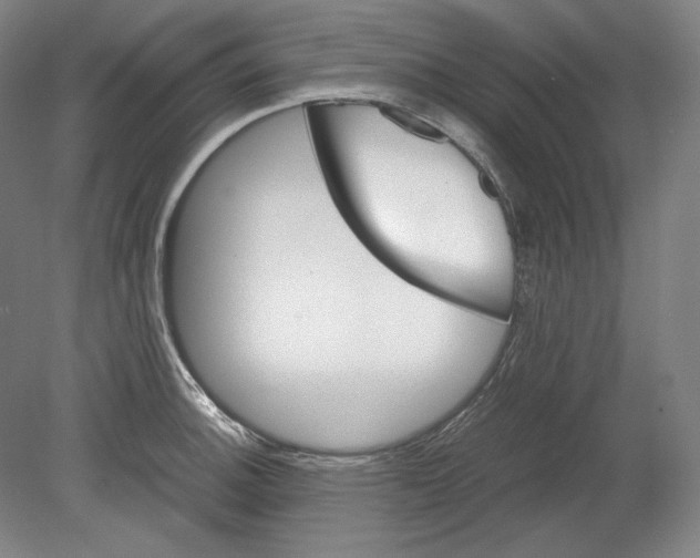 X0000080161140200701051558