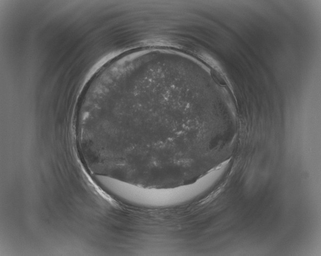 X0000080161141200701051558