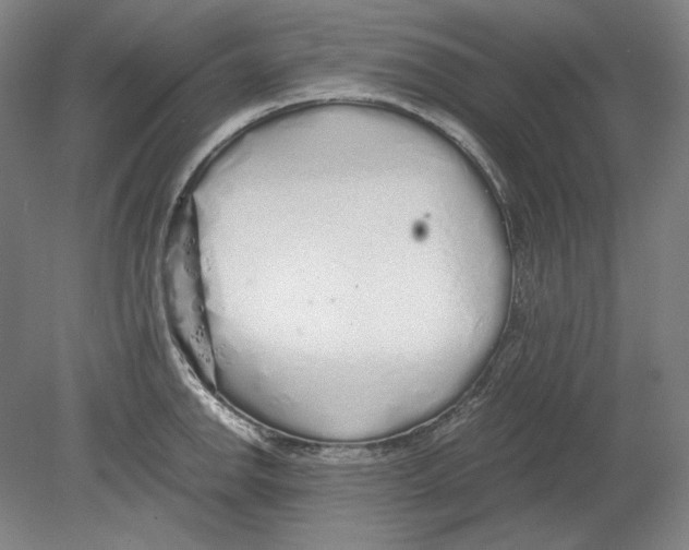 X0000080161142200701051558