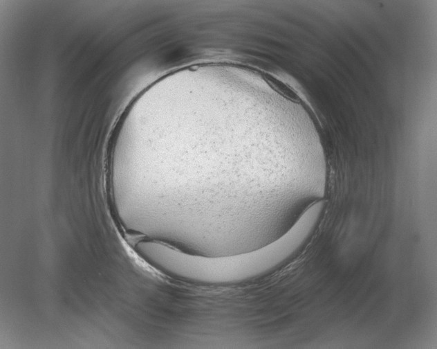 X0000080161143200701051558