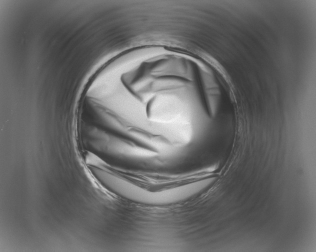 X0000080161144200701051558