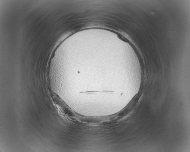 X0000080161145200701051558