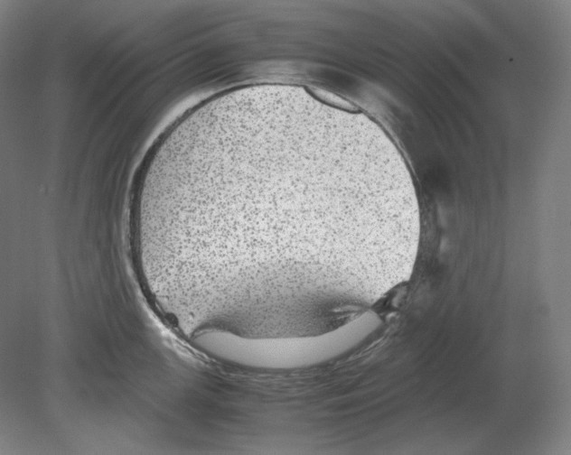 X0000080161147200701051558