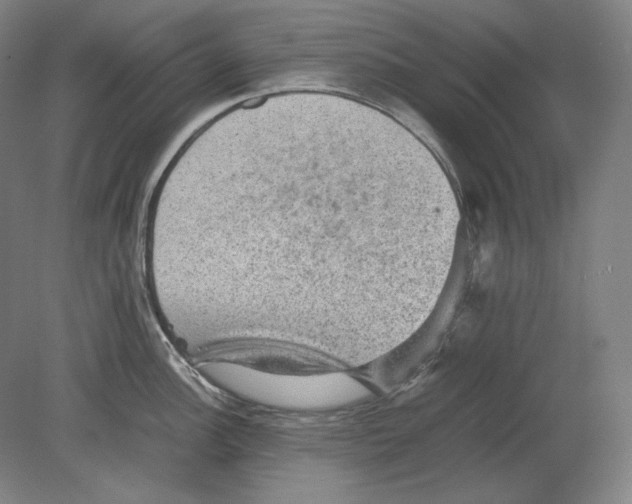 X0000080161148200701051558