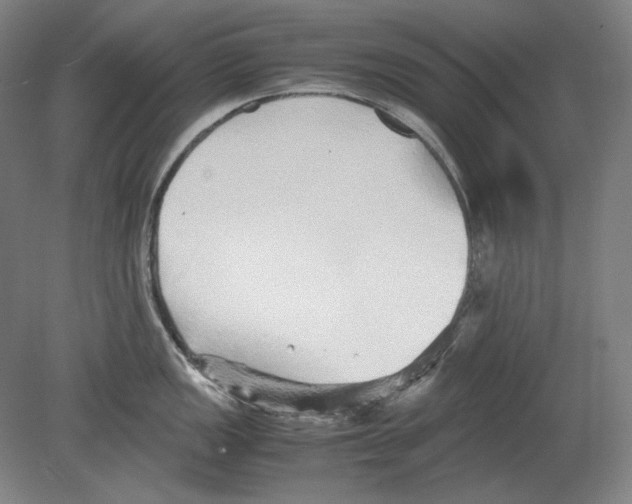 X0000080161149200701051559