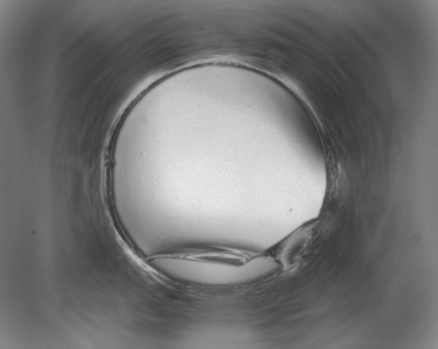 X0000080161151200701051559