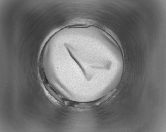 X0000080161152200701051559