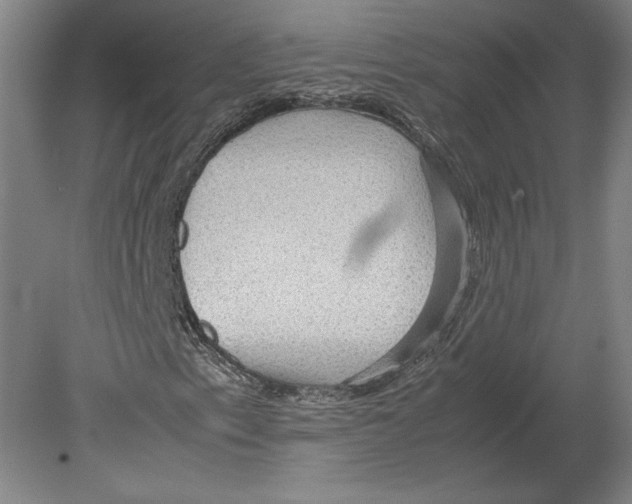 X0000080161153200701051558