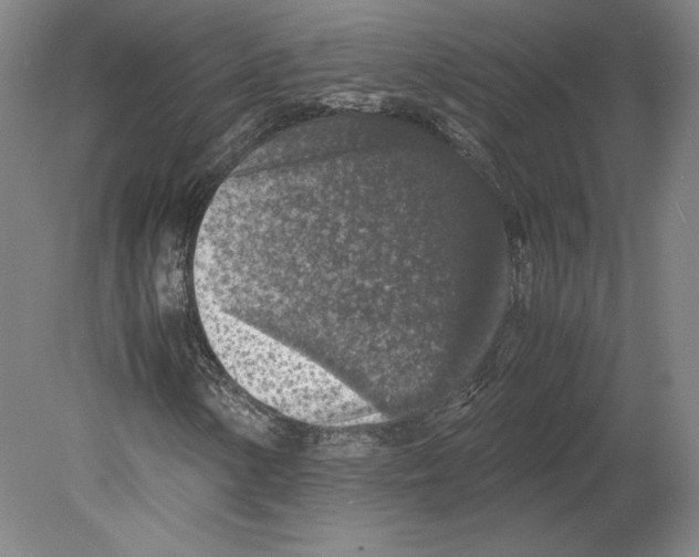 X0000080161154200701051558