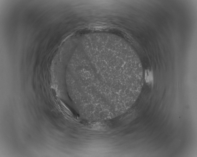 X0000080161155200701051558