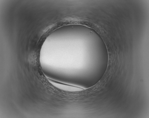 X0000080161157200701051558