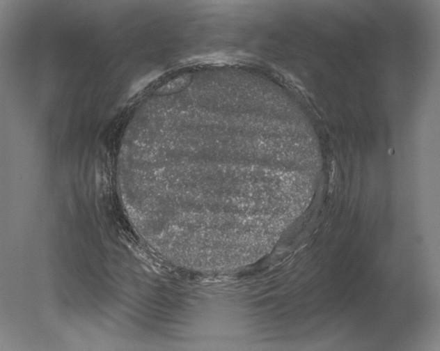 X0000080161158200701051558