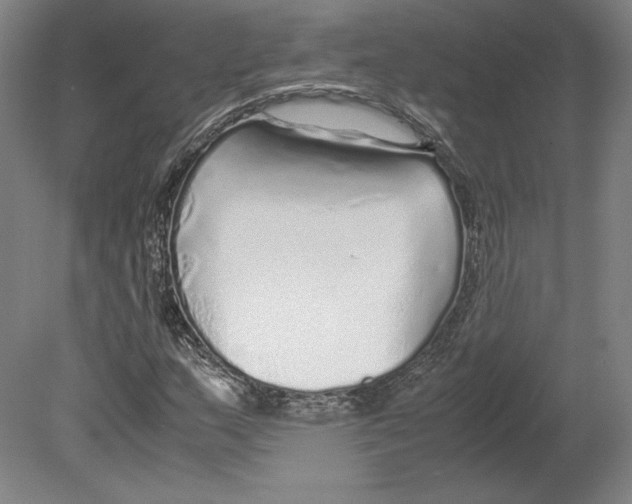 X0000080161159200701051558