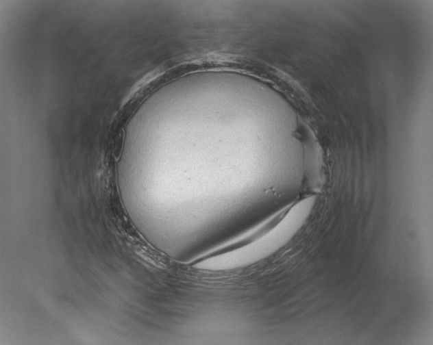 X0000080161160200701051558