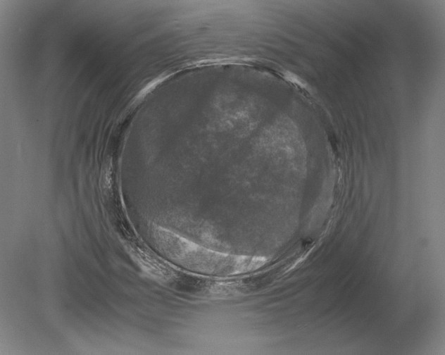 X0000080161161200701051558