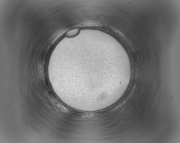 X0000080161162200701051558