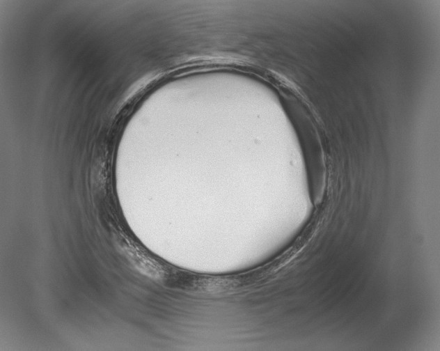 X0000080161163200701051558