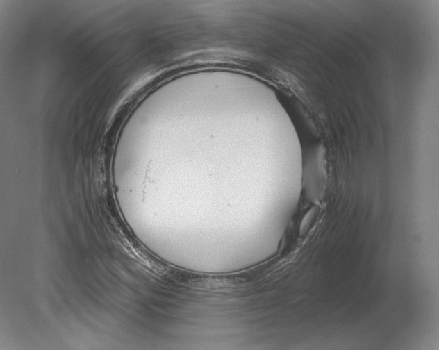 X0000080161164200701051558