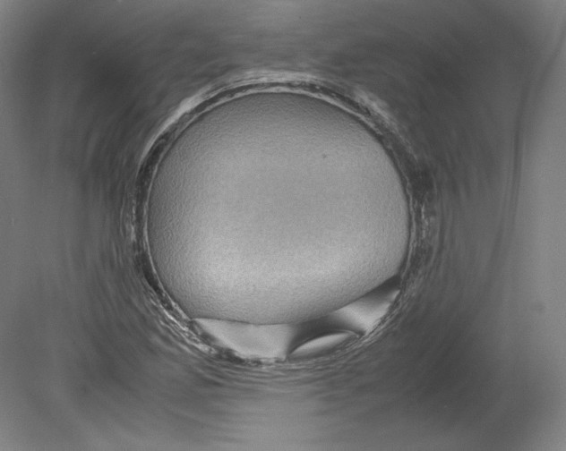 X0000080161165200701051558