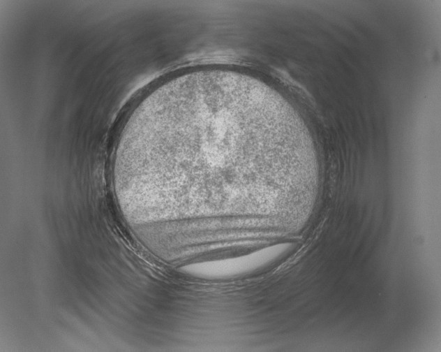 X0000080161166200701051558