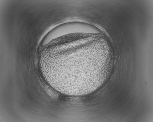 X0000080161167200701051558