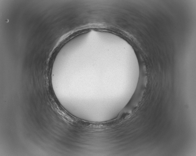 X0000080161168200701051558