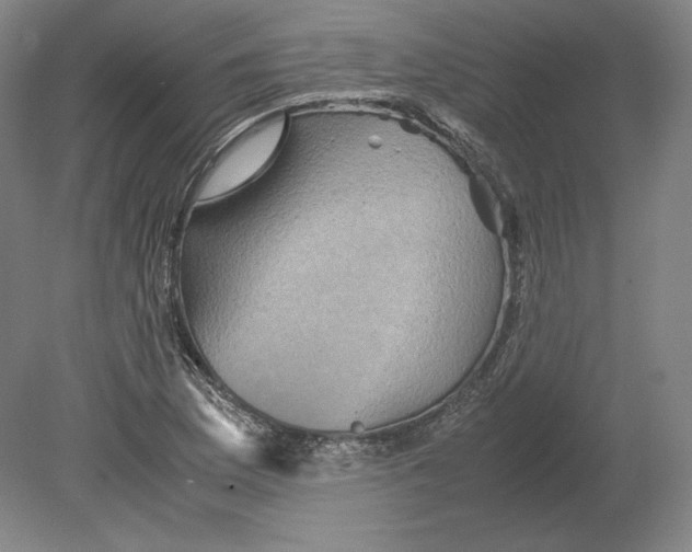 X0000080161169200701051557