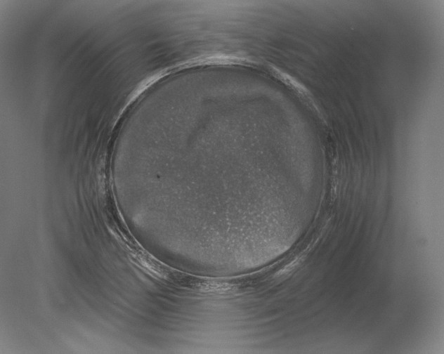 X0000080161170200701051557