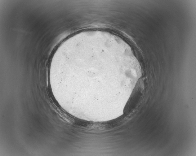 X0000080161171200701051557