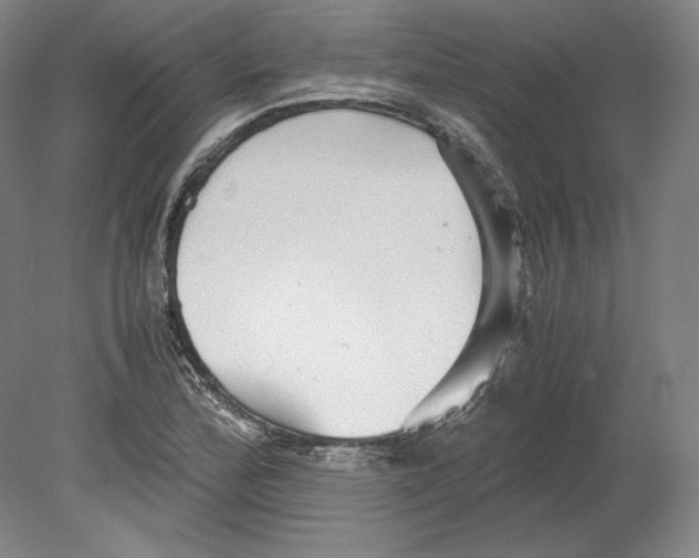 X0000080161172200701051557