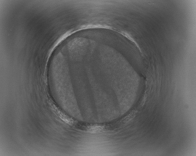 X0000080161173200701051557