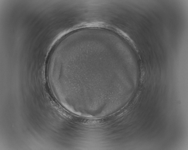 X0000080161174200701051557