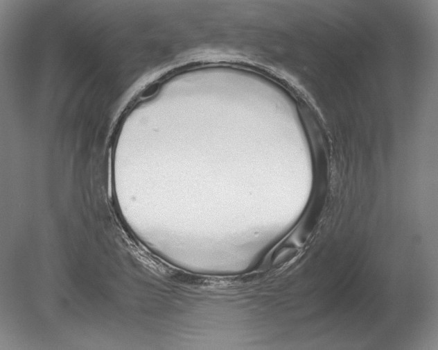 X0000080161175200701051557